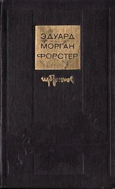 Эдвард Форстер По ту сторону изгороди обложка книги