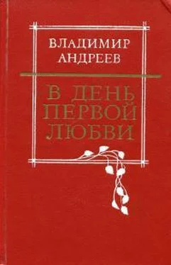 Владимир Андреев В день первой любви обложка книги