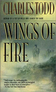Charles Todd Wings of Fire