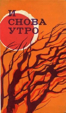 Теодор Константин И снова утро (сборник) обложка книги