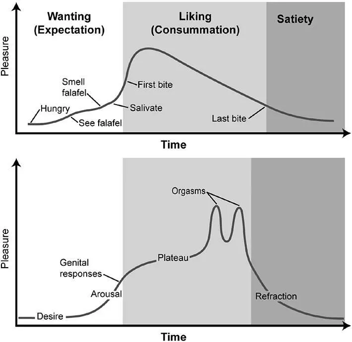 Figure 45Pleasure graphs for eating and sex reveal some common features This - фото 60