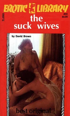 David Brown The suck wives обложка книги