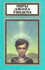 Джон Уиндем - Метеор