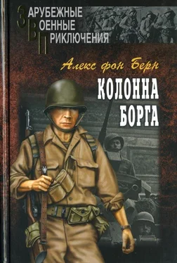 Алекс фон Берн Колонна Борга обложка книги