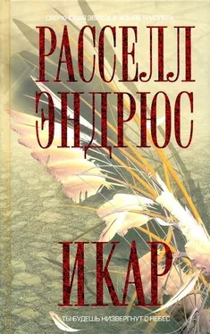 Рассел Эндрюс Икар обложка книги