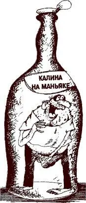 24 января 1878 года в кабинет петербургского градоначальника генераладъютанта - фото 105