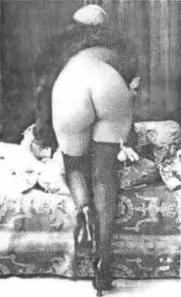 Из архива истории фотографии А одним из весенних вечеров 1833 года Альфред де - фото 120