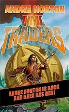 Andre Norton Time Traders обложка книги