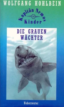 Вольфганг Хольбайн Die grauen Wächter обложка книги