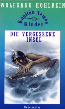 Hohlbein Wolfgang Die vergessene Insel обложка книги