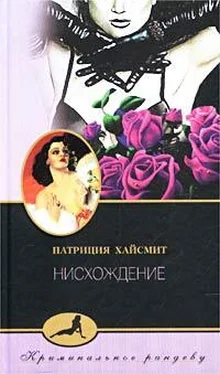 Патриция Хайсмит Нисхождение обложка книги