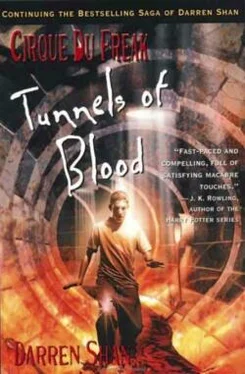 Darren Shan Tunnels of Blood обложка книги