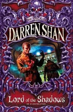 Darren Shan Lord Of The Shadows обложка книги