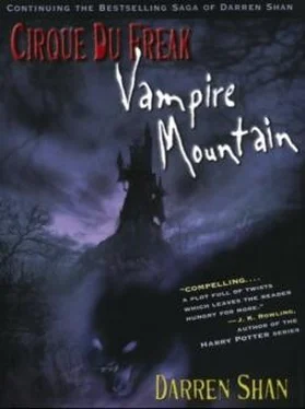 Darren Shan Vampire Mountain обложка книги