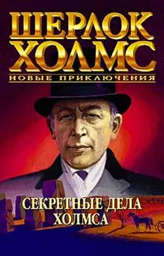 Джун Томсон Тайные хроники Холмса обложка книги