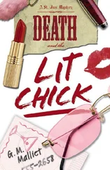 G Malliet - Death and the Lit Chick