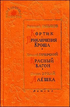Николай Печерский Красный вагон обложка книги