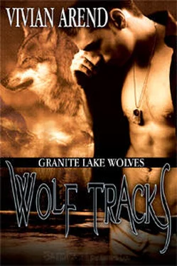 Vivian Arend Wolf Tracks обложка книги