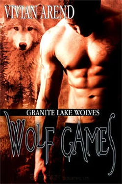 Vivian Arend Wolf Games обложка книги