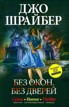 Джо Шрайбер Без окон, без дверей обложка книги