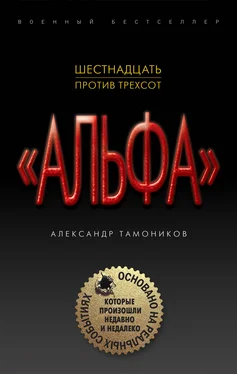 Александр Тамоников Шестнадцать против трехсот