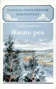 Е. Болдаков Жизнь рек обложка книги