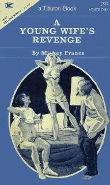 Mickey France A young wife_s revenge обложка книги