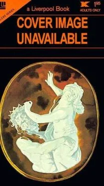 Reginald Brisbane The weekend captive обложка книги