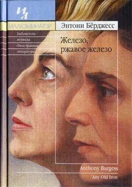 Энтони Бёрджес Железо, ржавое железо обложка книги