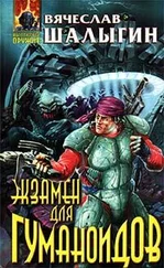 Вячеслав Шалыгин - Экзамен для гуманоидов