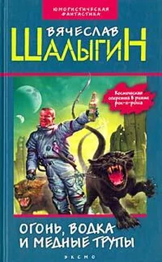 Вячеслав Шалыгин Огонь, водка и медные трупы (Сборник) обложка книги