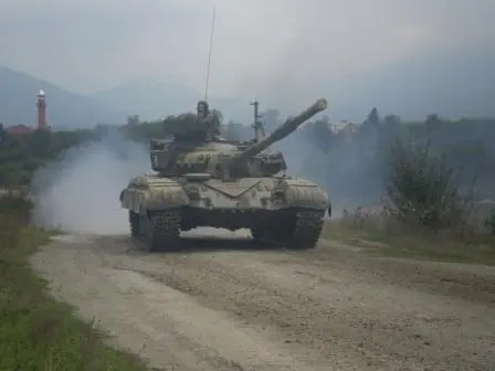 Милое дело спустился по вырезанным в земле и ладненько устеленным ивовыми - фото 11