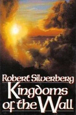 Robert Silverberg Kingdoms of the Wall обложка книги