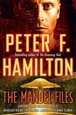 Peter Hamilton The Mandel Files обложка книги