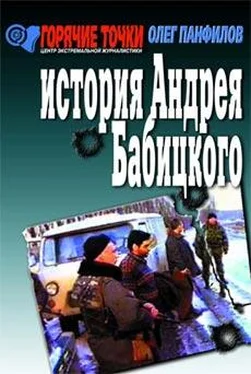 Панфилов Валентинович История Андрея Бабицкого обложка книги