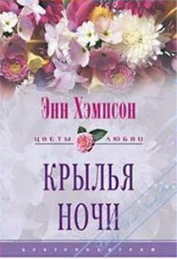 Хэмпсон Энн Крылья ночи