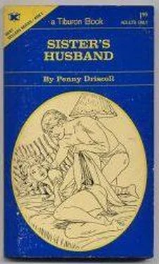 Penny Driscoll Sister_s husband обложка книги