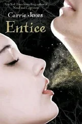 Carrie Jones - Entice