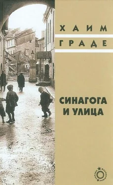 Хаим Граде Синагога и улица обложка книги