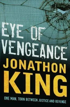 Jonathon King Eye of Vengeance обложка книги