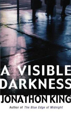 Jonathon King A Visible Darkness обложка книги