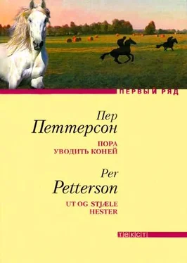 Пер Петтерсон Пора уводить коней обложка книги