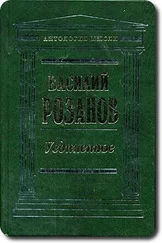 Василий Розанов - Легенда о Великом Инквизиторе Ф. М. Достоевского. Опыт критического комментария