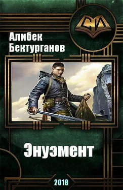 Алибек Бектурганов Энуэмент (СИ) обложка книги