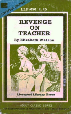 Elizabeth Watson Revenge on teacher обложка книги