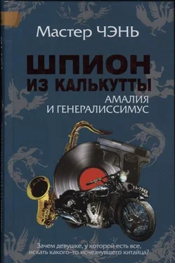 Мастер Чэнь Шпион из Калькутты. Амалия и генералиссимус обложка книги