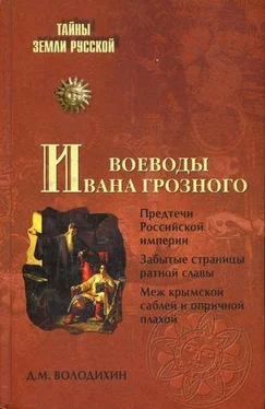 Дмитрий Володихин Воеводы Ивана Грозного обложка книги