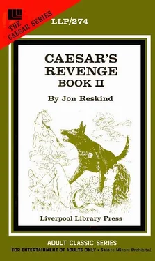 Jon Reskind Caesar_s revenge book II обложка книги