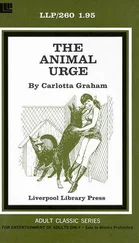 Carlotta Graham - The animal urge