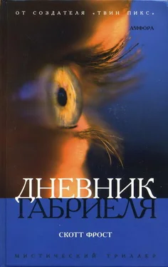 Скотт Фрост Дневник Габриеля обложка книги